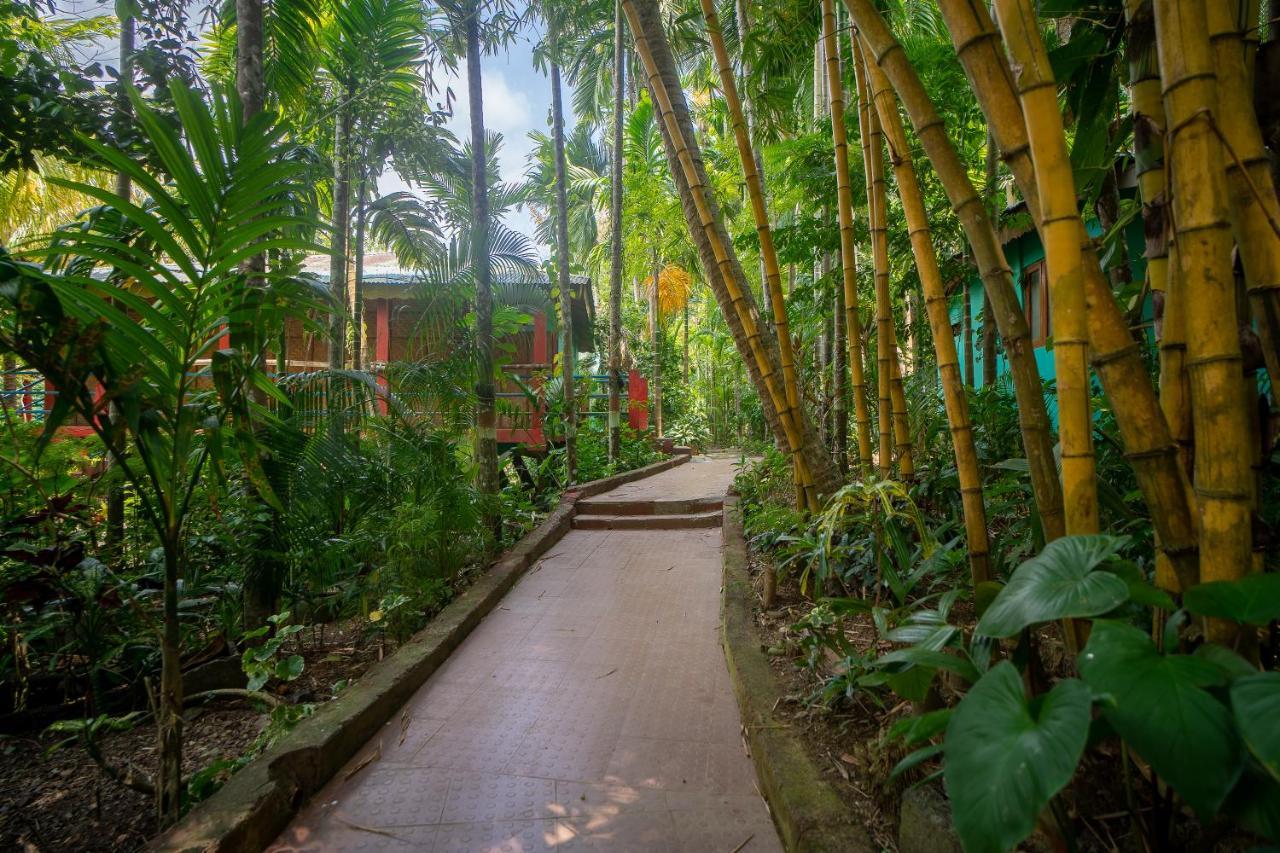 Palm Grove Eco Resort Port Blair Exteriér fotografie