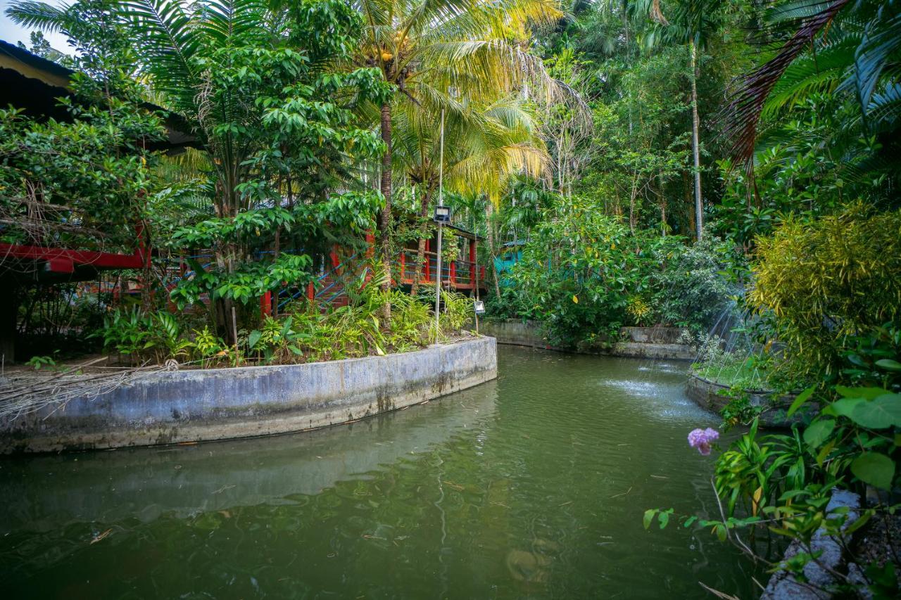 Palm Grove Eco Resort Port Blair Exteriér fotografie