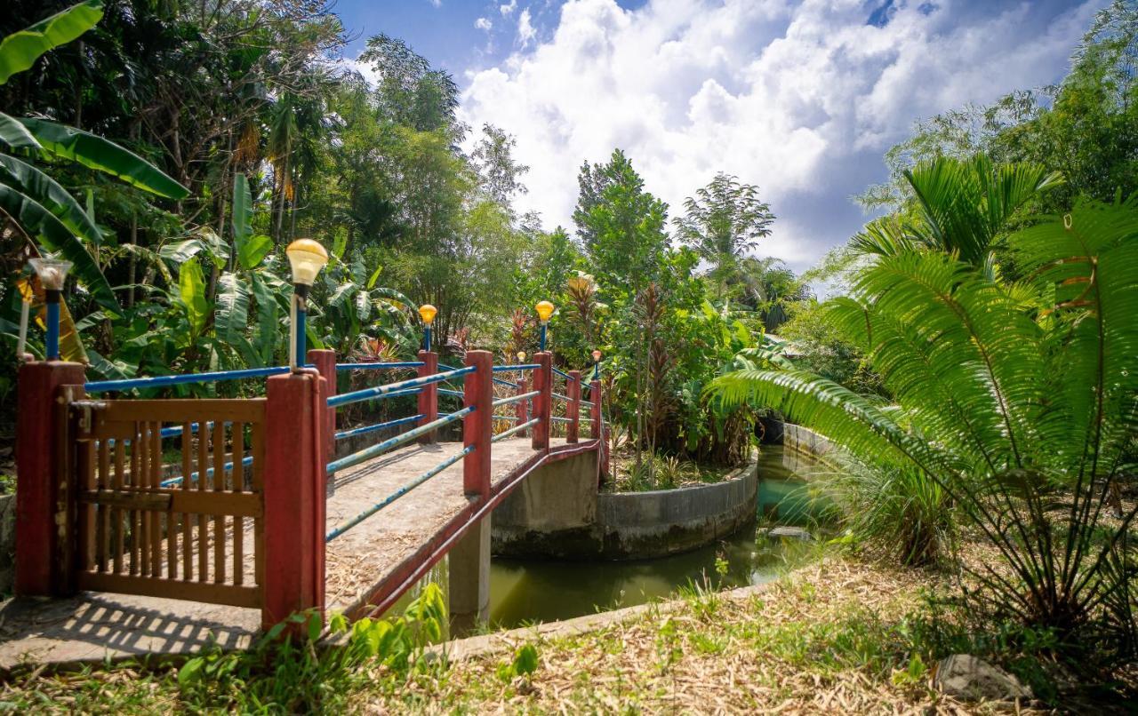 Palm Grove Eco Resort Port Blair Exteriér fotografie